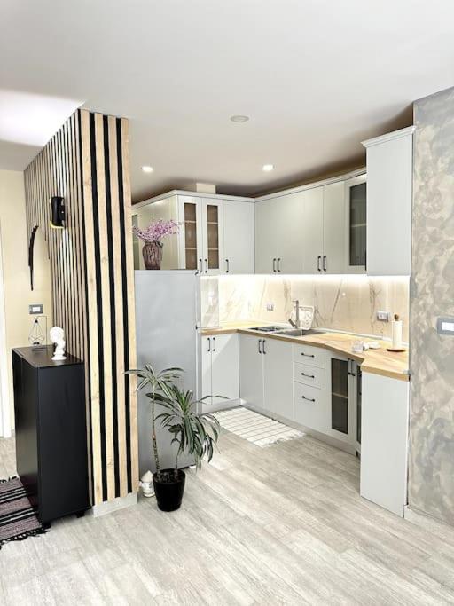 Great Apartament Near Lake & Blloku Area Tirana Bagian luar foto